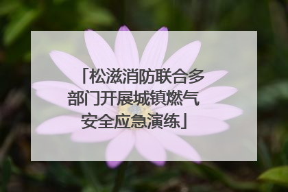 松滋消防联合多部门开展城镇燃气安全应急演练
