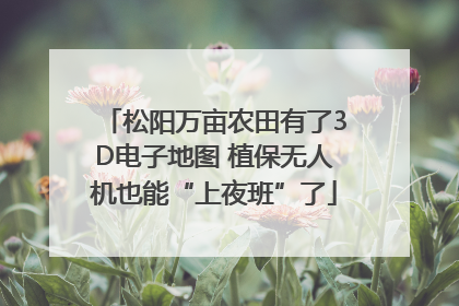 松阳万亩农田有了3D电子地图 植保无人机也能“上夜班”了