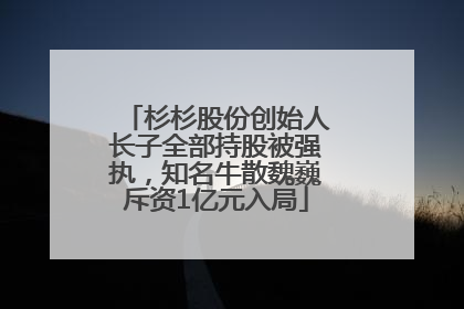 杉杉股份创始人长子全部持股被强执，知名牛散魏巍斥资1亿元入局