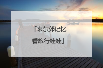 来东郊记忆 看旅行蛙蛙