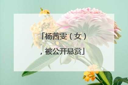 杨茜雯（女），被公开悬赏