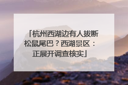 杭州西湖边有人拔断松鼠尾巴？西湖景区：正展开调查核实