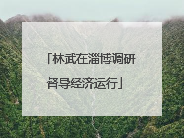 林武在淄博调研督导经济运行