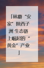 林麝“安家”陕西子洲 生态链上崛起的“黄金”产业