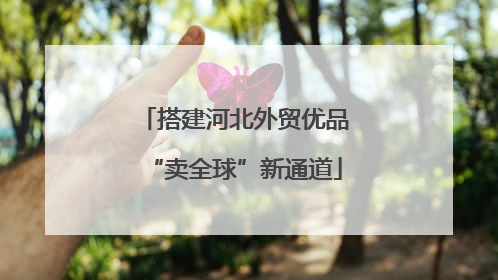 搭建河北外贸优品“卖全球”新通道