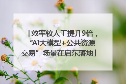 效率较人工提升9倍，“AI大模型+公共资源交易”场景在启东落地