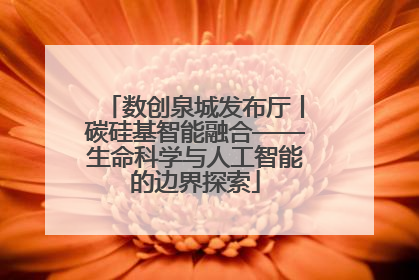 数创泉城发布厅丨碳硅基智能融合——生命科学与人工智能的边界探索