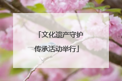 文化遗产守护传承活动举行