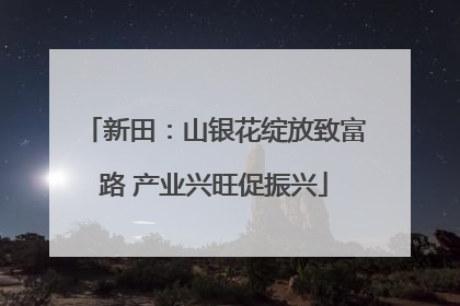 新田：山银花绽放致富路 产业兴旺促振兴