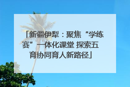 新疆伊犁：聚焦“学练赛”一体化课堂 探索五育协同育人新路径
