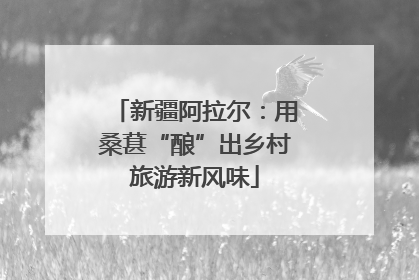 新疆阿拉尔：用桑葚“酿”出乡村旅游新风味