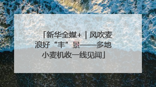 新华全媒+｜风吹麦浪好“丰”景——多地小麦机收一线见闻