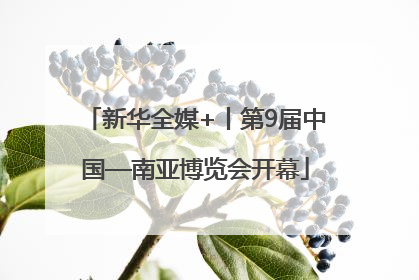新华全媒+丨第9届中国—南亚博览会开幕