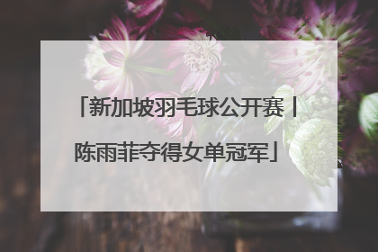 新加坡羽毛球公开赛丨陈雨菲夺得女单冠军
