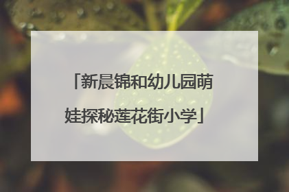 新晨锦和幼儿园萌娃探秘莲花街小学