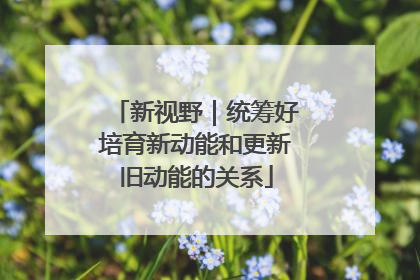 新视野｜统筹好培育新动能和更新旧动能的关系