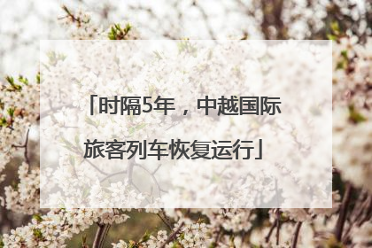 时隔5年，中越国际旅客列车恢复运行