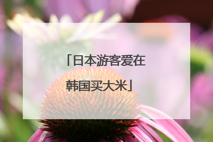 日本游客爱在韩国买大米