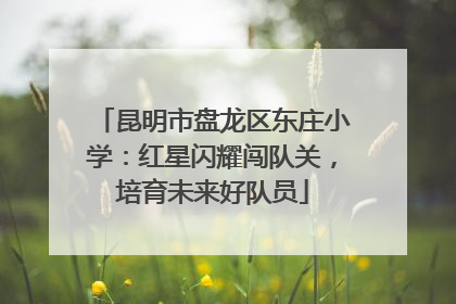 昆明市盘龙区东庄小学：红星闪耀闯队关，培育未来好队员