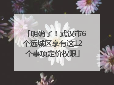 明确了！武汉市6个远城区享有这12个事项定价权限