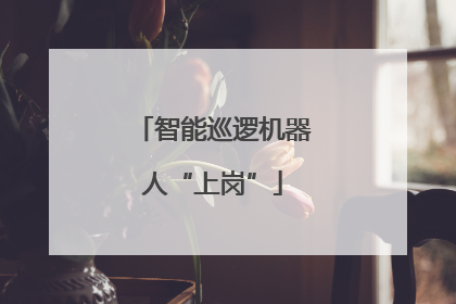 智能巡逻机器人“上岗”