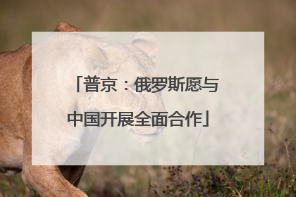 普京：俄罗斯愿与中国开展全面合作