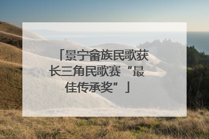 景宁畲族民歌获长三角民歌赛“最佳传承奖”