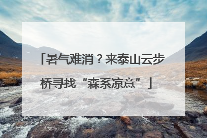 暑气难消？来泰山云步桥寻找“森系凉意”