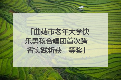 曲靖市老年大学快乐男孩合唱团首次跨省实践斩获一等奖