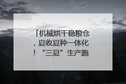 机械烘干稳粮仓，夏收夏种一体化！“三夏”生产跑出加速度｜麦报
