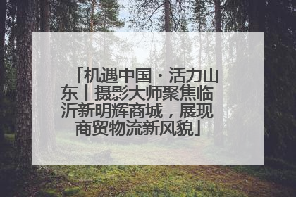 机遇中国・活力山东丨摄影大师聚焦临沂新明辉商城，展现商贸物流新风貌