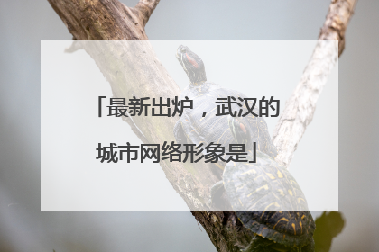 最新出炉，武汉的城市网络形象是