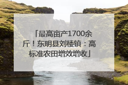 最高亩产1700余斤！东明县刘楼镇：高标准农田增效增收