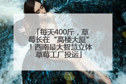 每天400斤，草莓长在“高楼大厦”！西南最大智慧立体草莓工厂投运