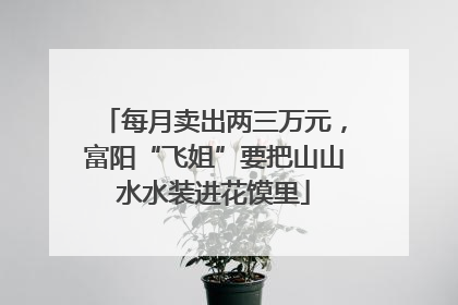 每月卖出两三万元，富阳“飞姐”要把山山水水装进花馍里