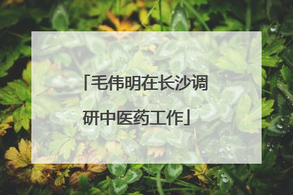 毛伟明在长沙调研中医药工作