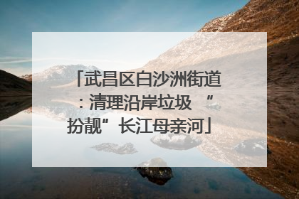 武昌区白沙洲街道：清理沿岸垃圾 “扮靓”长江母亲河