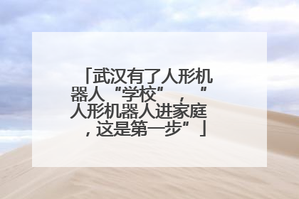 武汉有了人形机器人“学校”，“人形机器人进家庭，这是第一步”