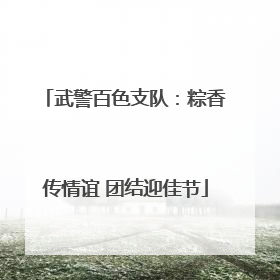武警百色支队：粽香传情谊 团结迎佳节