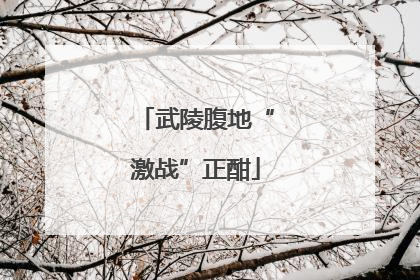 武陵腹地“激战”正酣