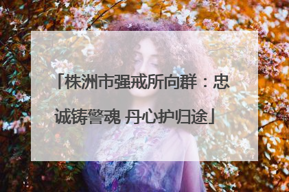 株洲市强戒所向群：忠诚铸警魂 丹心护归途