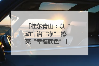 桂东青山：以“动”治“净” 擦亮“幸福底色”