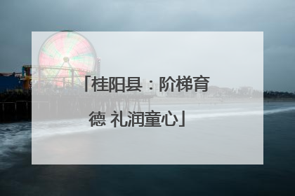 桂阳县：阶梯育德 礼润童心