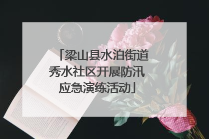 梁山县水泊街道秀水社区开展防汛应急演练活动