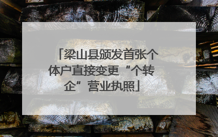 梁山县颁发首张个体户直接变更“个转企”营业执照