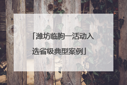 潍坊临朐一活动入选省级典型案例