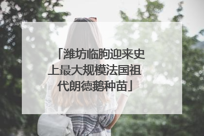 潍坊临朐迎来史上最大规模法国祖代朗德鹅种苗