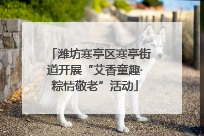 潍坊寒亭区寒亭街道开展“艾香童趣·粽情敬老”活动
