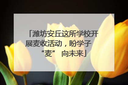 潍坊安丘这所学校开展麦收活动，盼学子 “麦” 向未来