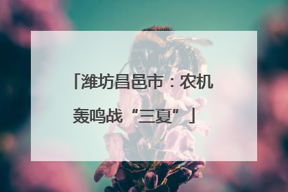 潍坊昌邑市：农机轰鸣战“三夏”
